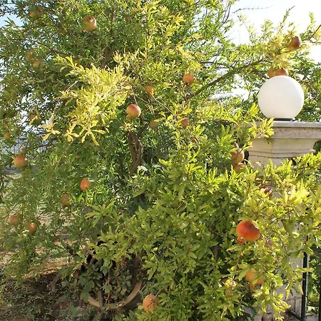 Casa Mesaria * Sidárion